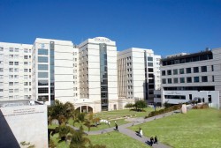 Beilinson Hospital, the central building on the Rabin Medical Center campus